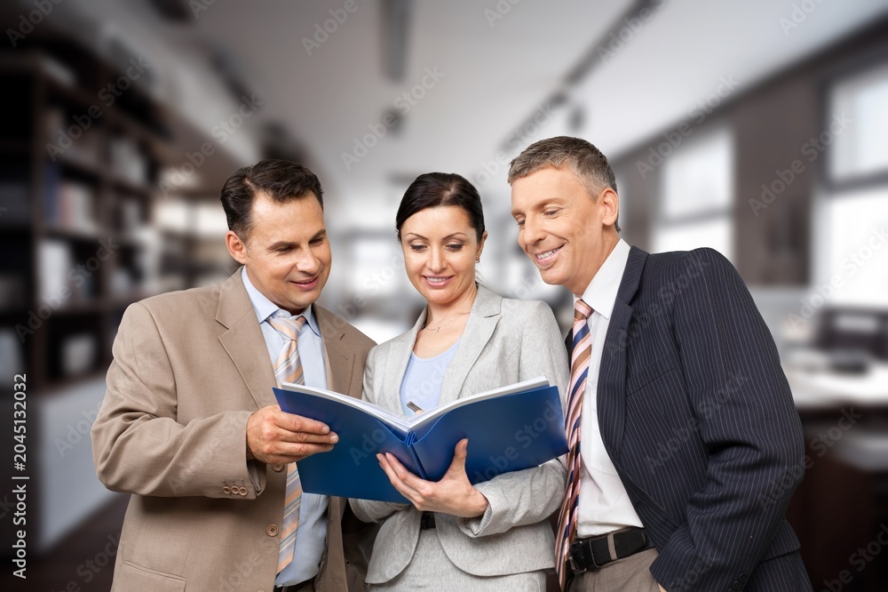 Fototapeta premium Group of professional business people discussing a project report in a modern office