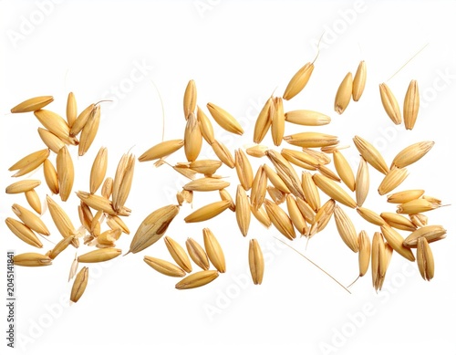 Scattered golden grain seeds with delicate wisps on a stark white background