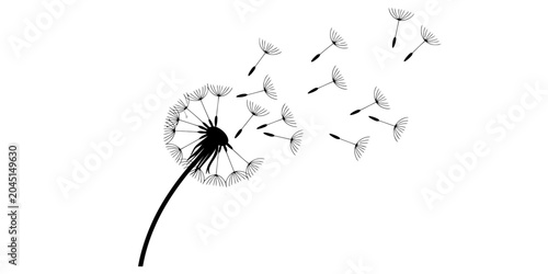 Black silhouette of a dandelion flower with flying seeds blown by the wind as a delicate nature vector graphic art illustration for creative design projects Vector, illustration