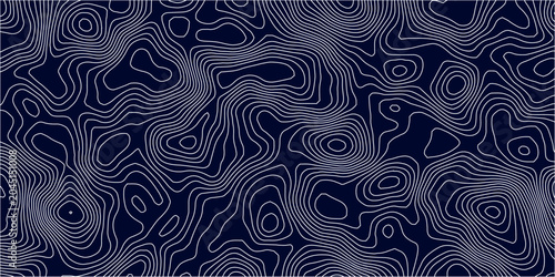 Bild auf Leinwand Dark Navy Blue Topographic Map Background with White Contour Lines, Elevation Relief Patterns and Abstract Geographic Texture for Cartography Design