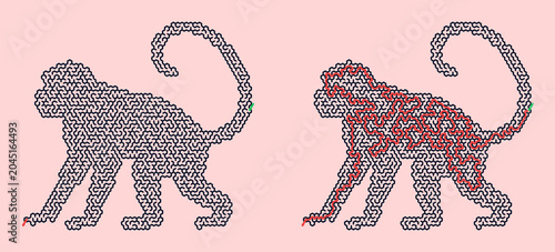Photography Abstract monkey outline and design on pink background