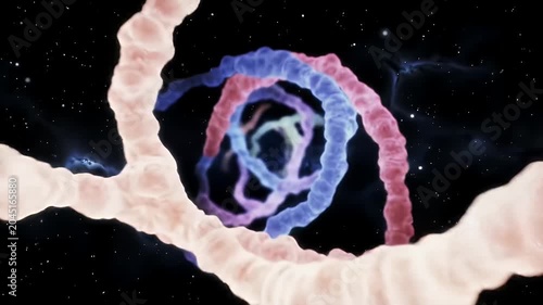 Molecular Structure. (1)