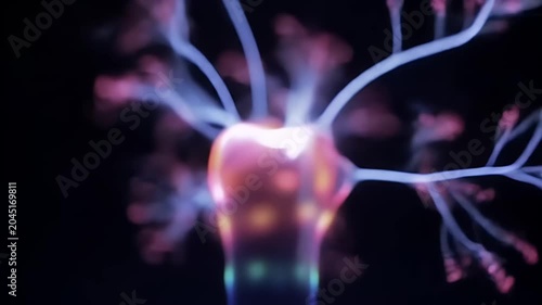 Plasma Ball Display.
