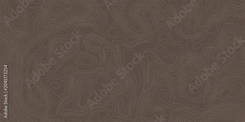 Schilderij op canvas Brown abstract topographic map background with fine concentric line patterns mimicking natural wood grain or terrain
