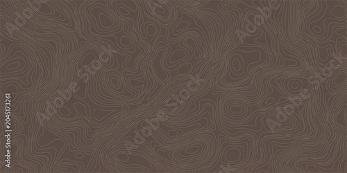 Fotografía Brown abstract topographic map background with fine concentric line patterns mimicking natural wood grain or terrain
