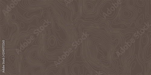 Schilderij op canvas Brown abstract topographic map background with fine concentric line patterns mimicking natural wood grain or terrain