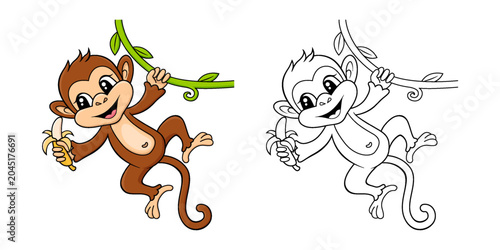Cute little monkey with banana hanging on vine. Black and white illustration for coloring book with example in color