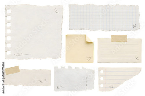 Collection of torn and crumpled paper cutouts with lined, blank, and decorative elements for stationery design