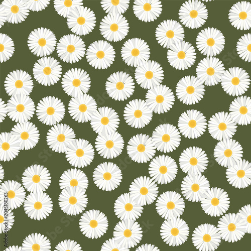 Daisy flower seamless pattern vector.