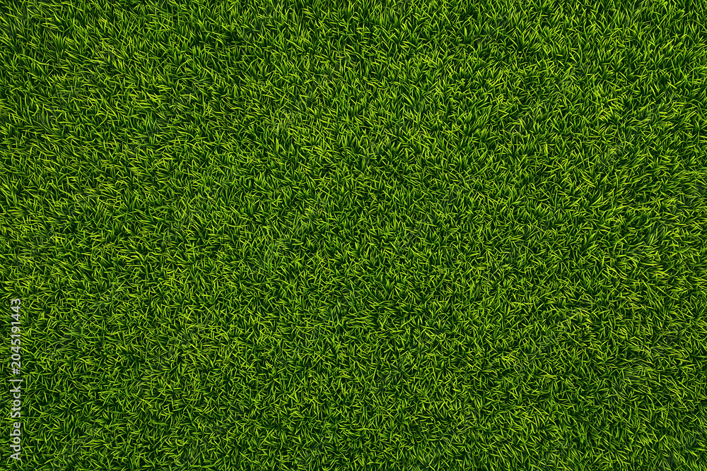 Obraz premium green grass field texture background natural outdoor surface