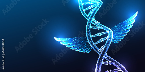 Obraz na plátně DNA Double Helix Evolution Wings Genetic Enhancement Transcendence Glowing Blue