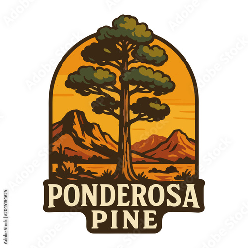 Vintage Ponderosa Pine Tree Vector Illustration, Western Forest Botanical Artwork