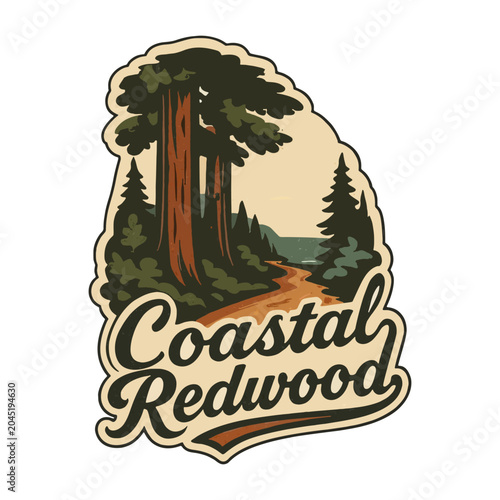 Vintage Coastal Redwood Forest Vector Illustration, California Woodland Landscape Artwork