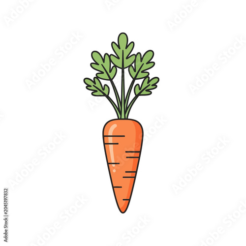 Illustration of a Carrot with Green Leaves and Orange Root.