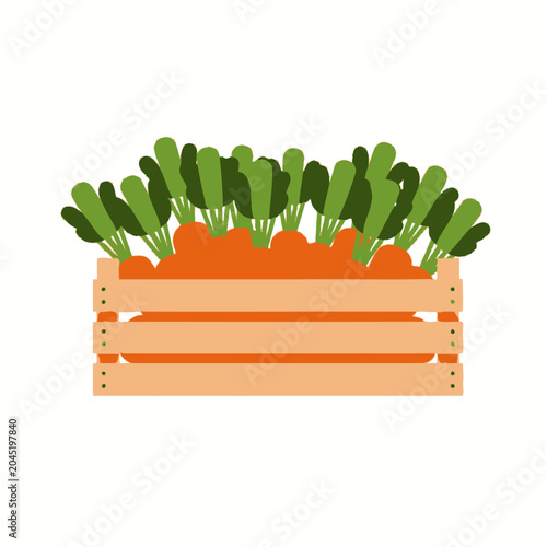 Fresh Carrots with Green Tops in Wooden Crate.