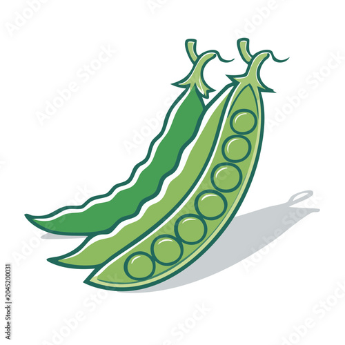 Two green pea pods, one open showing peas