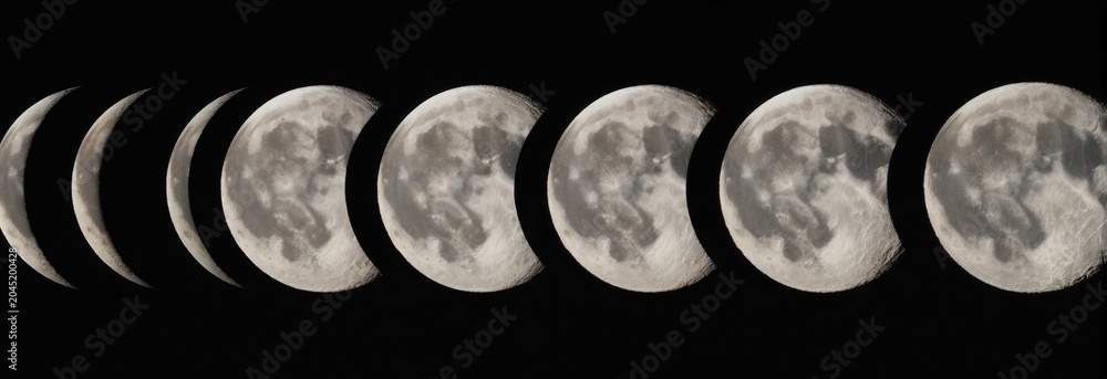 Obraz premium Full moon cycle sequence showing lunar phases progression from thin crescent to complete sphere in dark night sky. Celestial bodies natural evolution from new moon to full moon.
