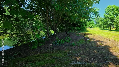 The park is famous for its picturesque pond.
