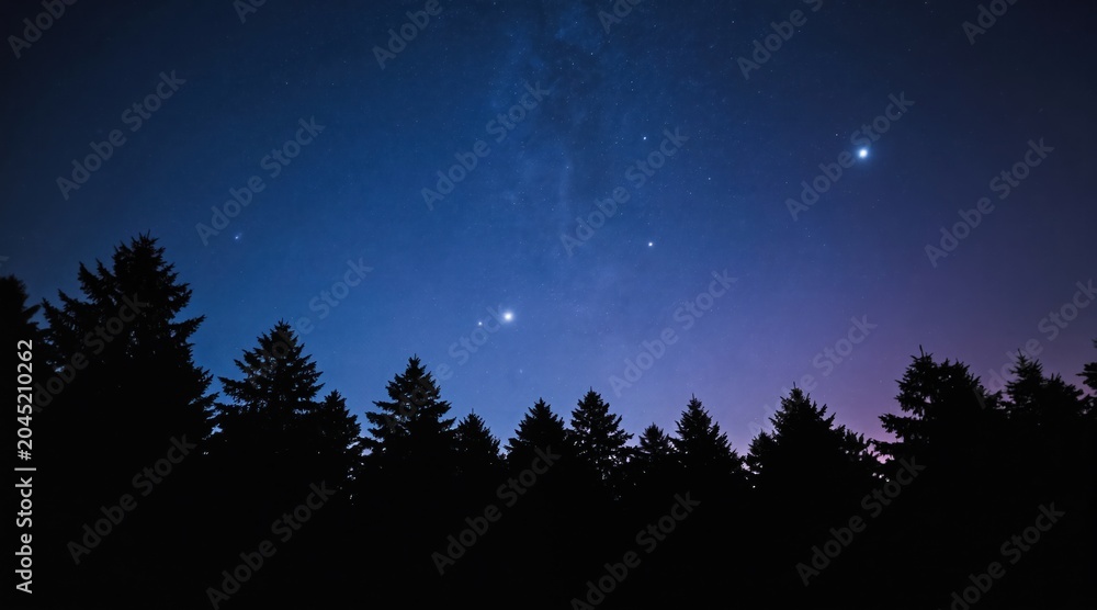 Obraz premium Dark pine tree silhouettes line horizon under deep blue twilight sky filled with stars and bright planets. This night scene evokes wonder and cosmic beauty, perfect for themes of nature and astronomy.