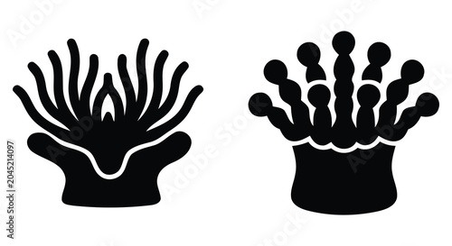 Bild auf Leinwand Two black silhouette depictions of sea anemones against a white background marin