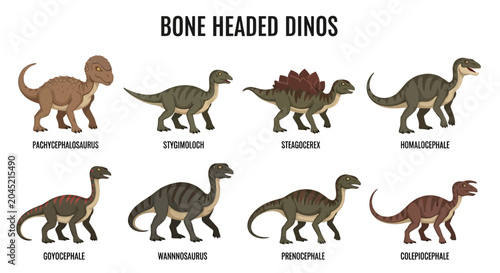 Tablou pe pânză Chart illustrating eight different types of boneheaded dinosaurs with names