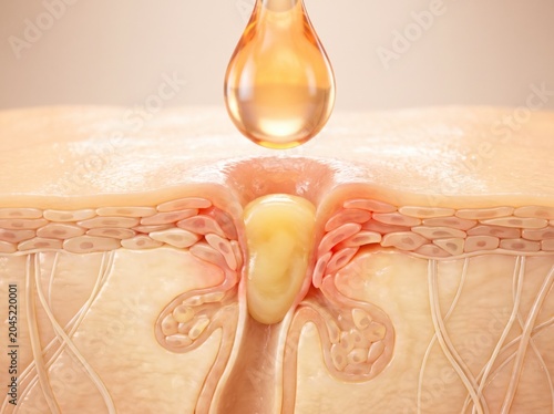 A 3D medical illustration showing a cross-section of human skin with an oil drop being applied.