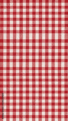 Classic Red and White Gingham Fabric Pattern