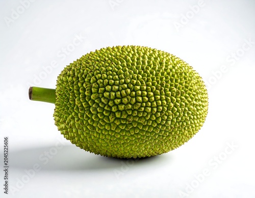 Fresh whole breadfruit with green stem on white background, white background