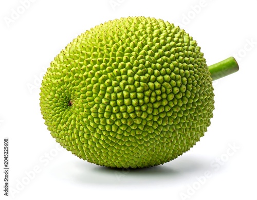 Fresh whole breadfruit with spiky green skin on white background, white background