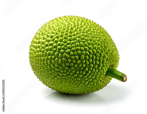 Fresh whole breadfruit with spiky green skin, studio shot white background