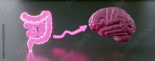 Conceptual glowing pink gut to brain connection background for medical design and neuroscience health illustration