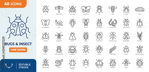 Photos Insect icon set