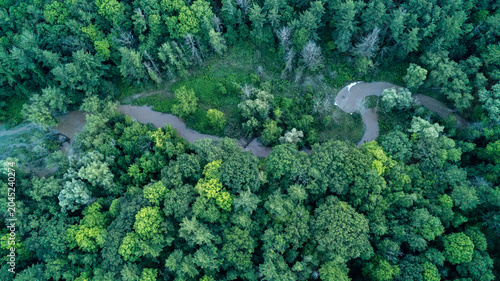 A beautiful overhead drone photograph looking straight down at a brown, muddy creek winding in a sharp S-curve through a dense canopy of lush summer green trees in a natural ravine valley.