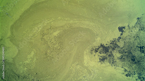 Fotografia A direct top-down drone photograph looking down at a massive green algae bloom coating the surface of a stagnant pond, creating natural swirling abstract patterns and textures in the water