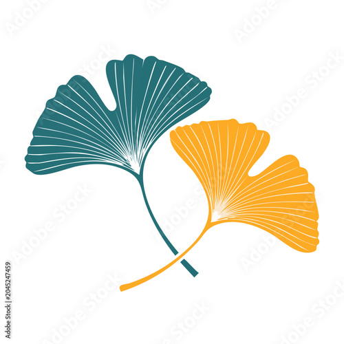 Two stylized Ginkgo leaves in teal and yellow on white background
