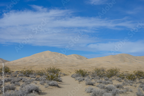 trail at Kelso Dunes in Southern California