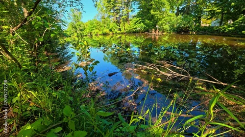 The park is famous for its picturesque pond.