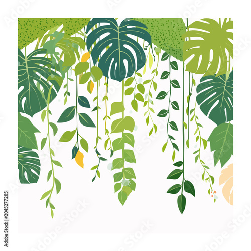 Flat illustration of hanging green plants and monstera leaves