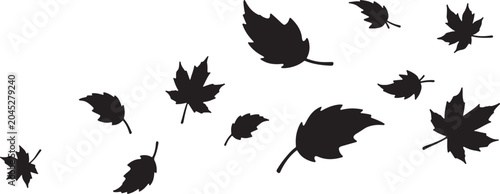 Obraz na płótnie Floating autumn leaves silhouette group on white background