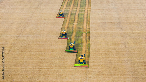 Billede på lærred This aerial shot shows multiple combine harvesters working in neat parallel rows on a farm field, efficiently harvesting crops in an organized agricultural operation
