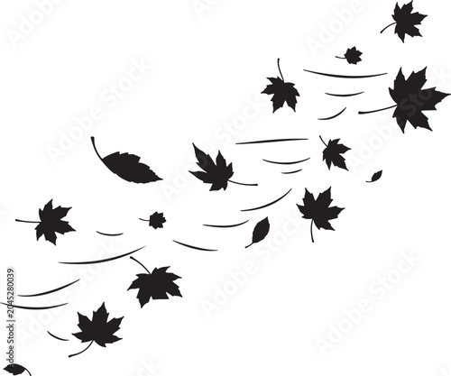 Bild auf Leinwand Black silhouette of falling maple leaves blowing in wind with seasonal