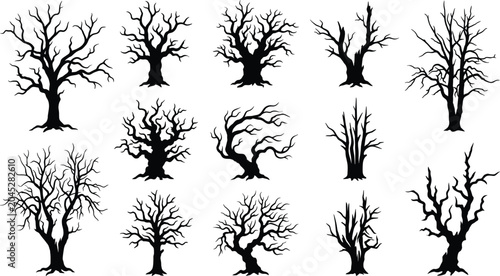 Photos Collection of twelve stylized leafless tree silhouettes with unique branching pa