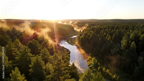 Aerial view of misty pine forest and river at sunrise
