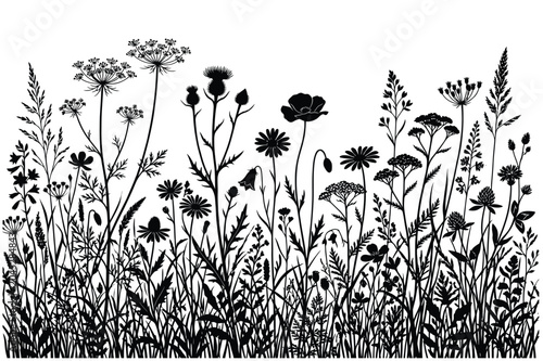 Black silhouette of various wildflowers and grasses