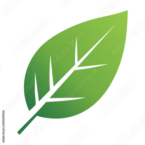 Green Leaf Icon