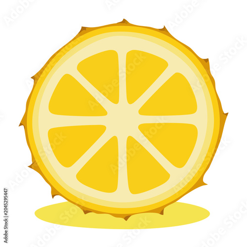 Flat design lemon slice illustration