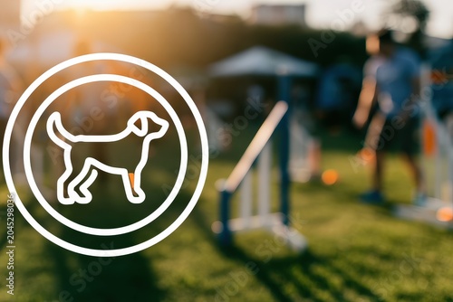 A professional canine training facility featuring agility equipment in a sunny outdoor setting, perfect for dog training and activities