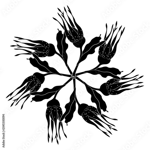 Canvastavla Geometrical star shape decor or floral mandala with buds of wild rose