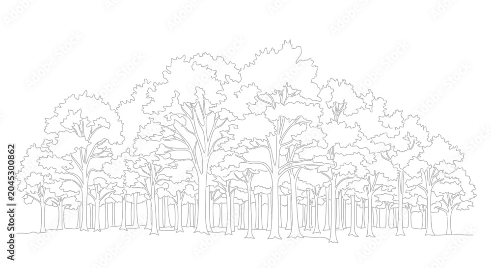 Obraz premium Forest Outline Drawing: Lush Trees and Foliage in Minimalist Line Art Style