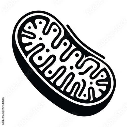 Mitochondria cell organelle structure diagram.